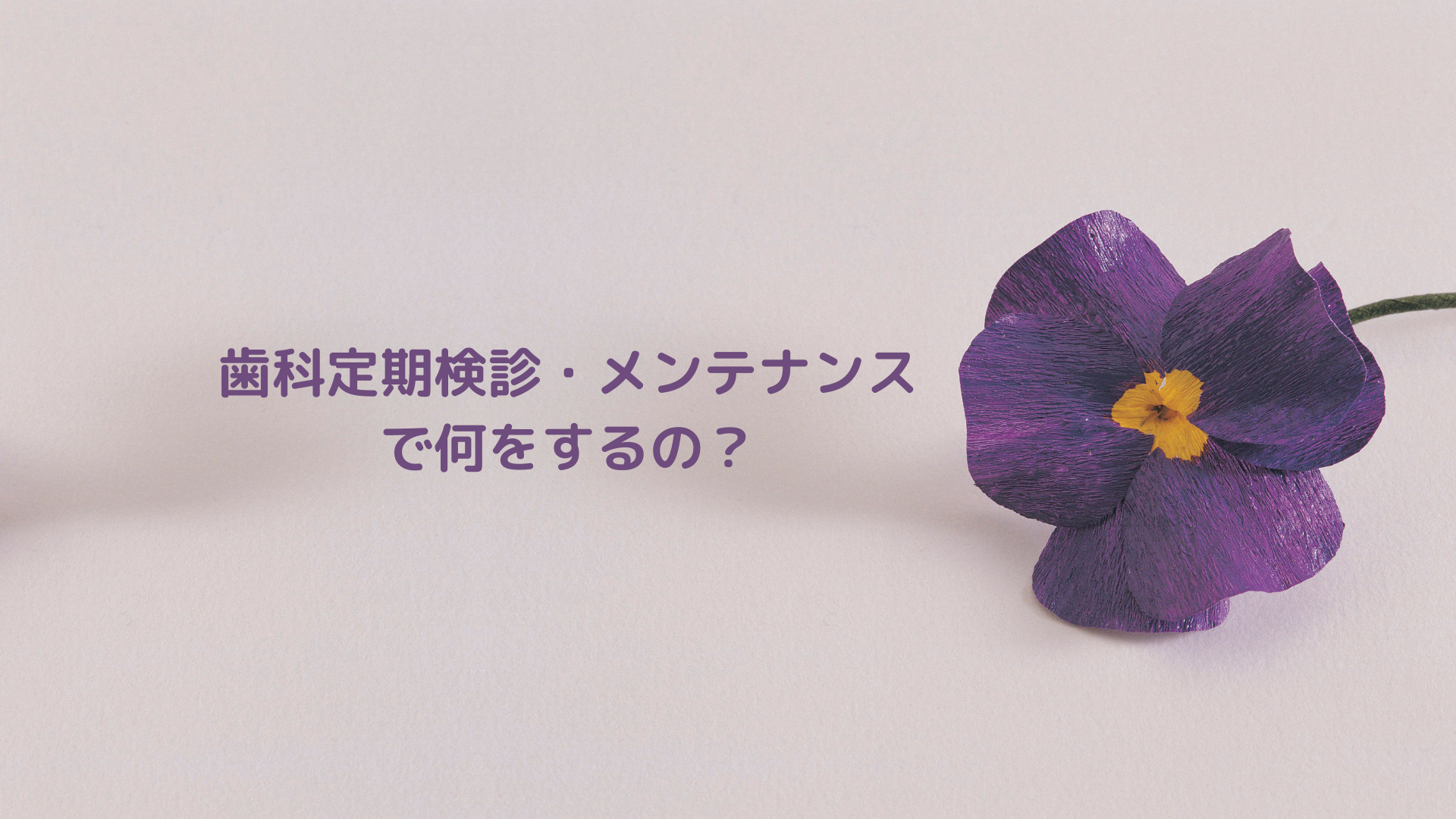 歯科定期検診・メンテナンスで何をするの？